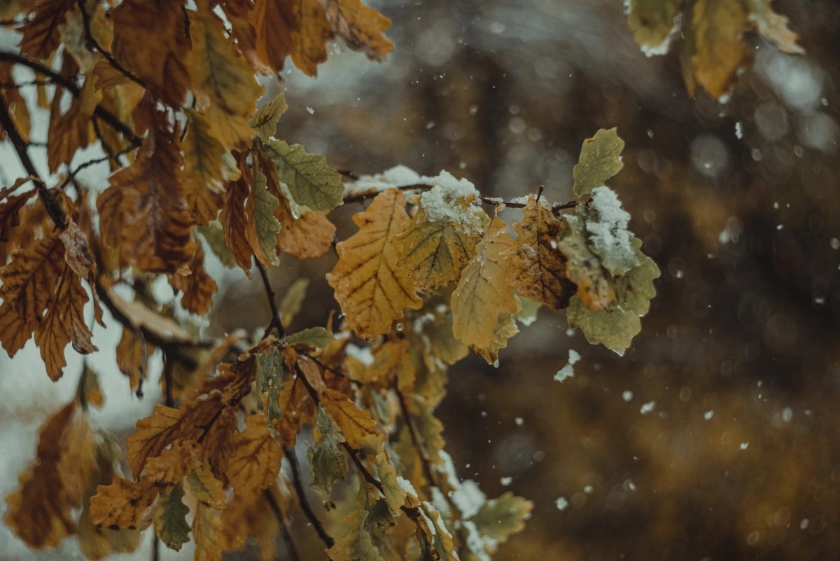 Фото: Unsplash