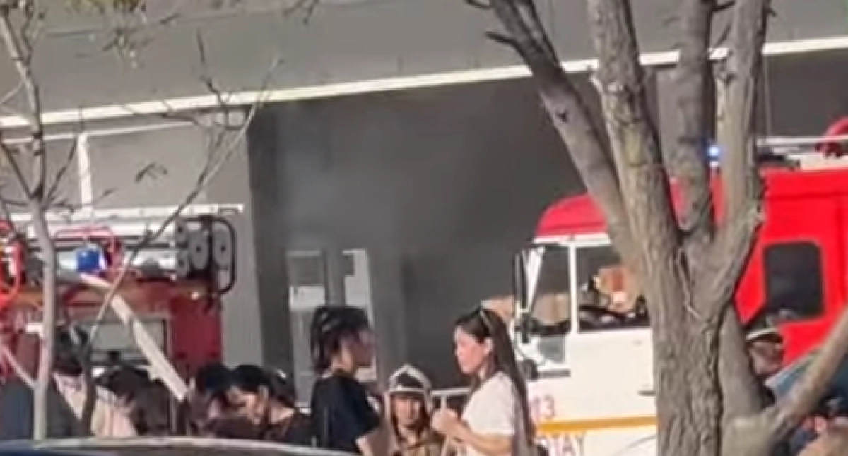 Фото: кадр из видео