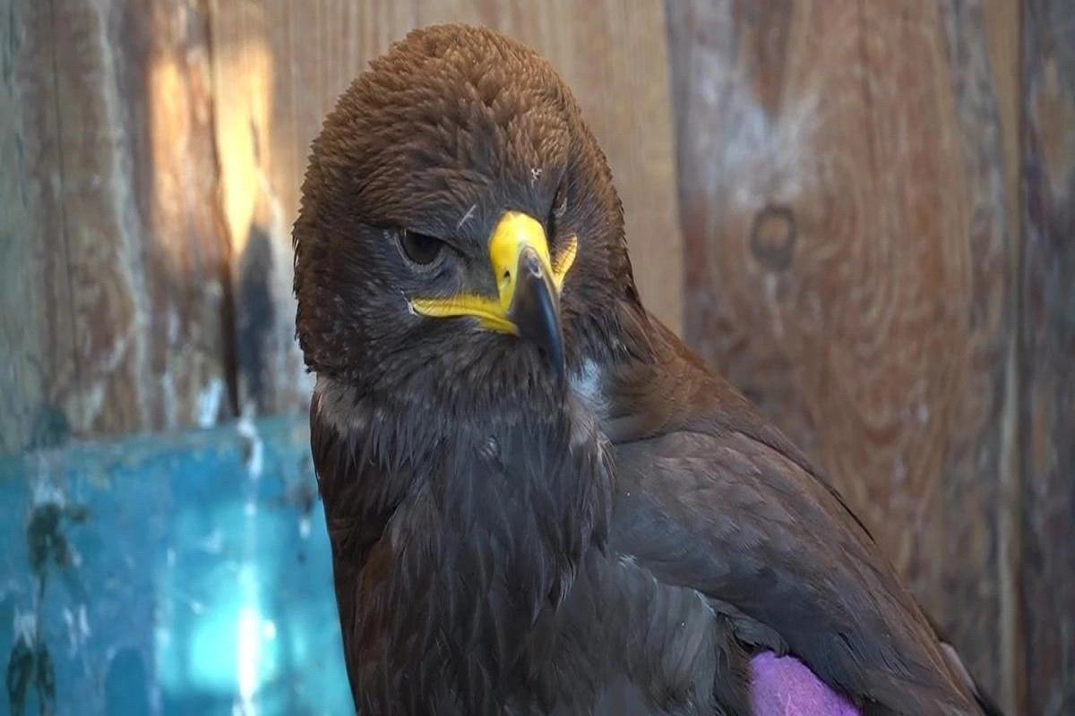 Фото: astanatv.kz