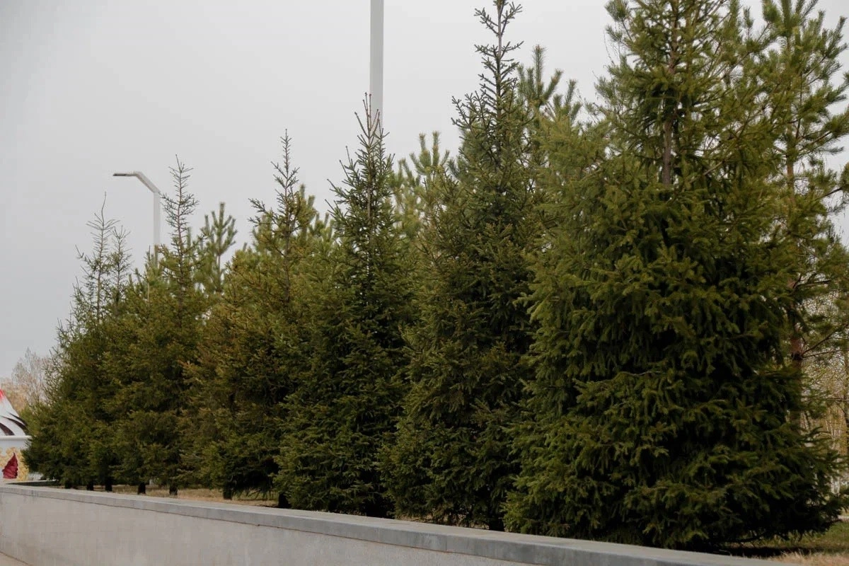 Фото: ИА «NewTimes.kz»