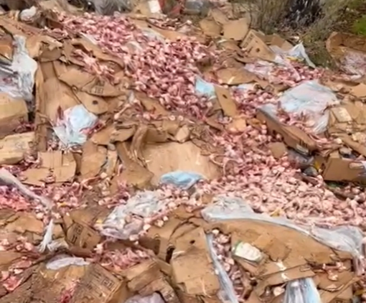 Кадр из видео