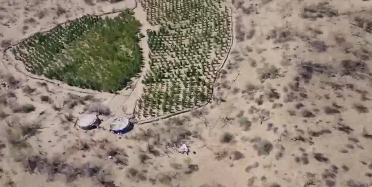 Фото: polisia.kz