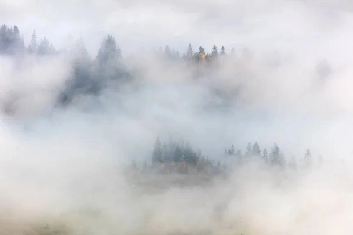 Фото: depositphotos.com