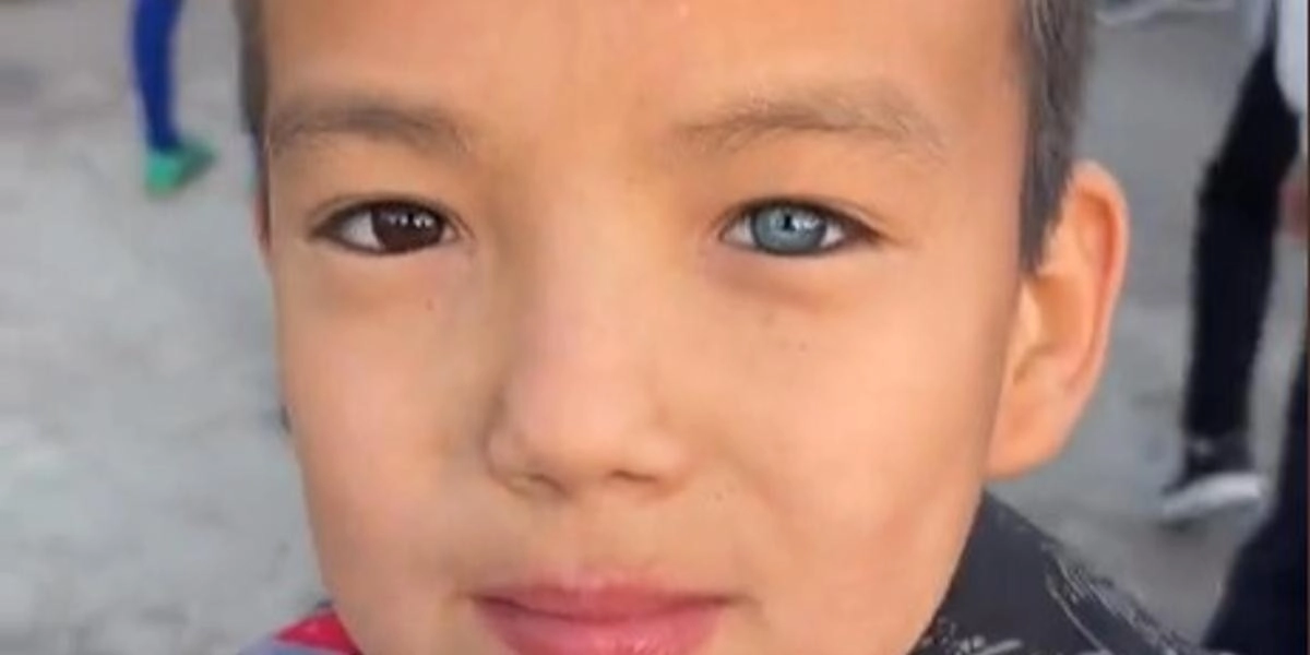 Кадр из видео