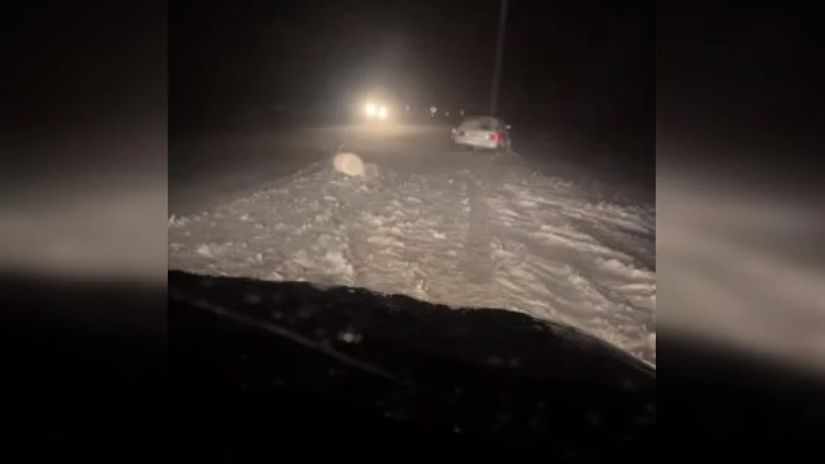 Кадр из видео