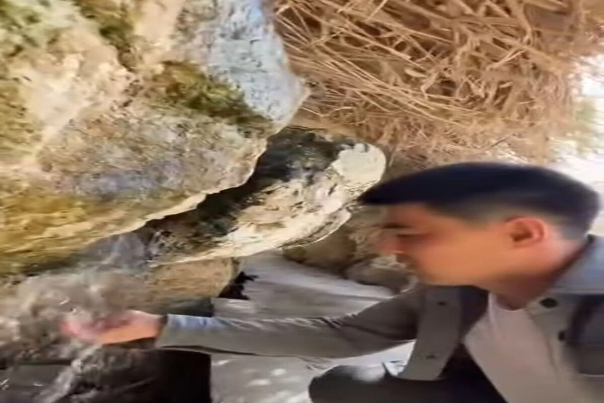 Фото: скриншот из видео