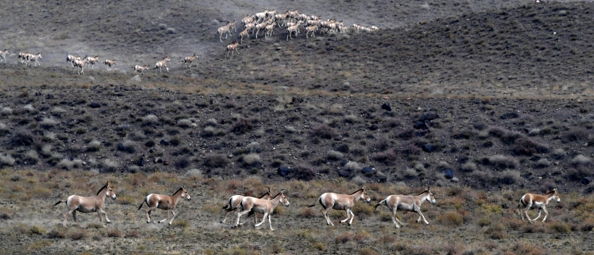 Фото: Дмитрий Ерофеев