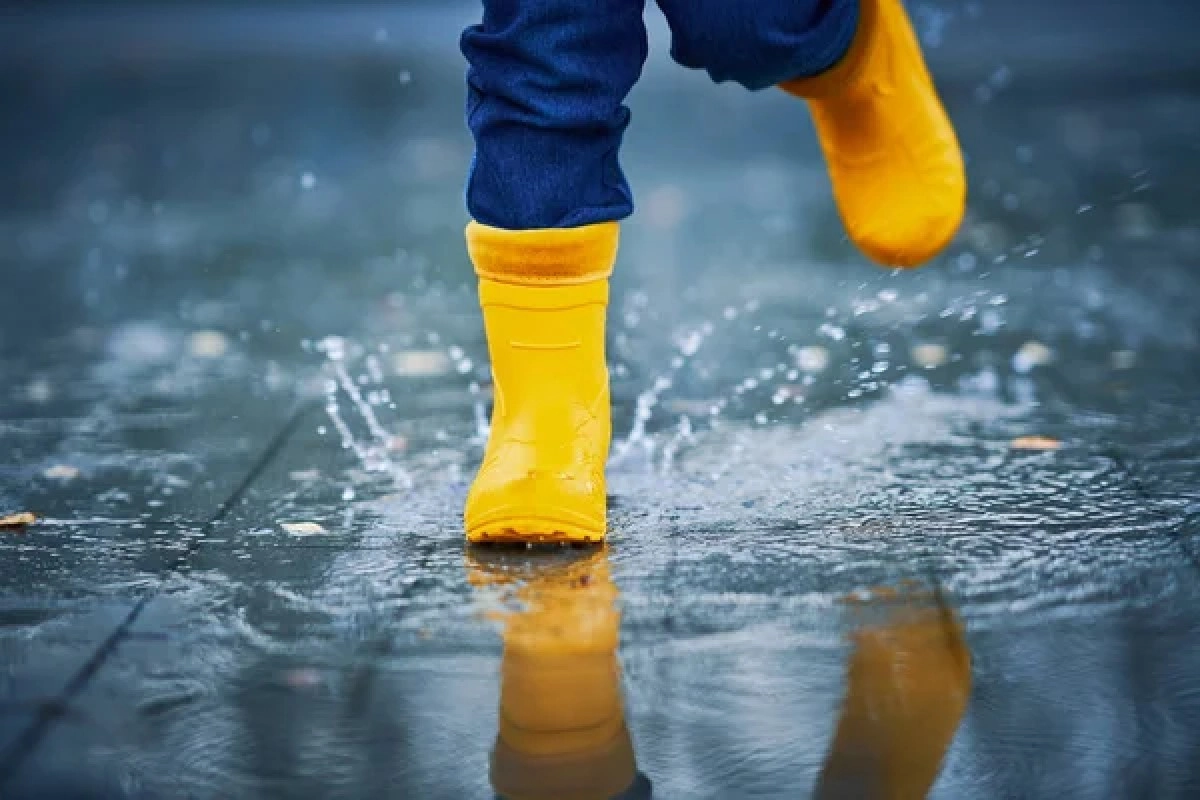 Фото: depositphotos.com