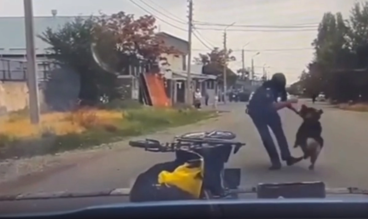 скриншот из видео