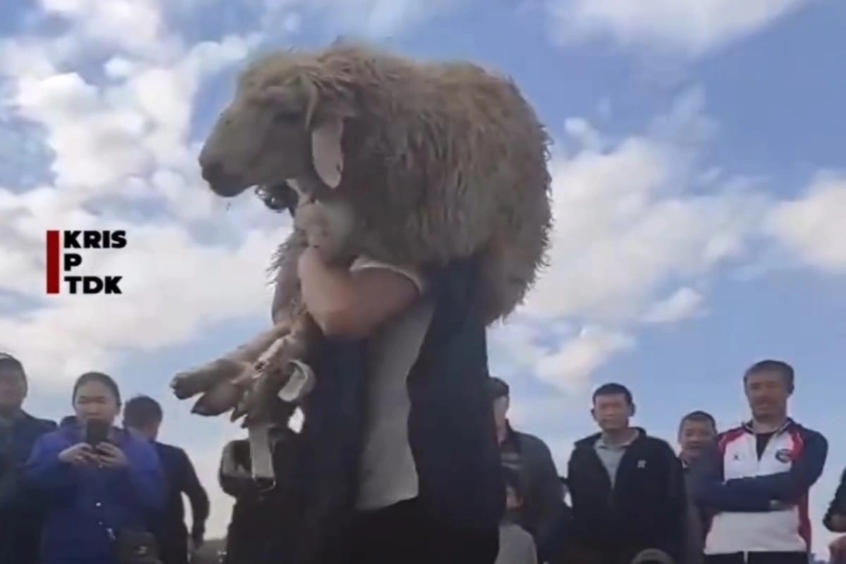 Фото: скриншот из видео