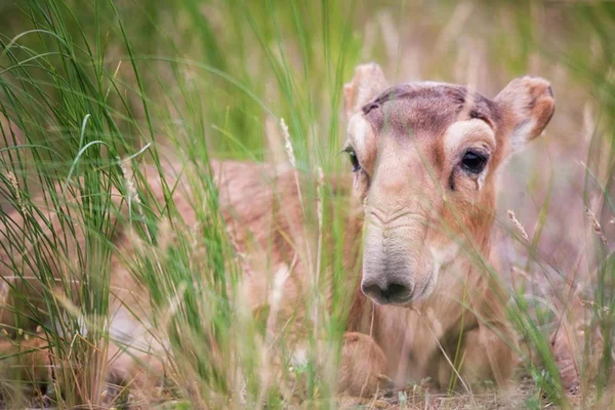 Фото: depositphotos.com