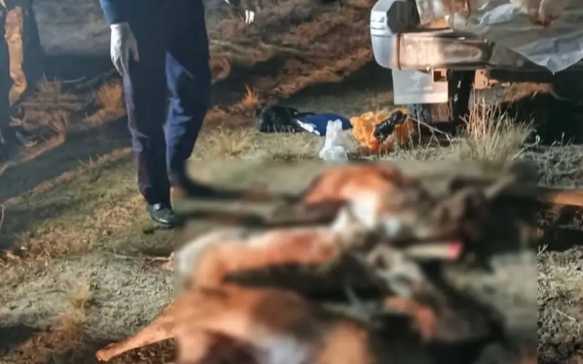 Фото: Пресс-служба ДП Жамбылской области