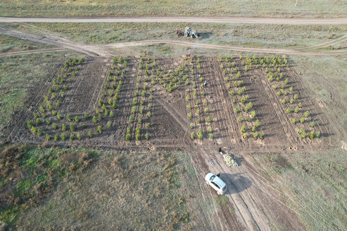 Фото: фонд земли устойчивое развитие
