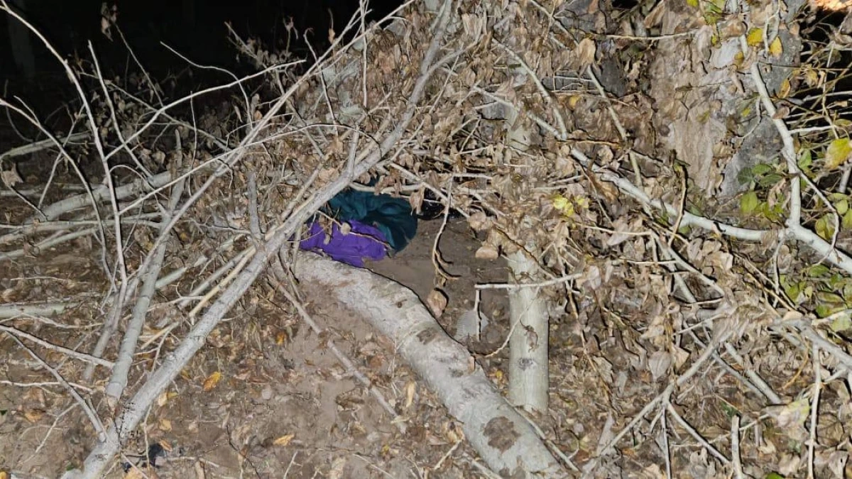 Фото: ДП области Абай