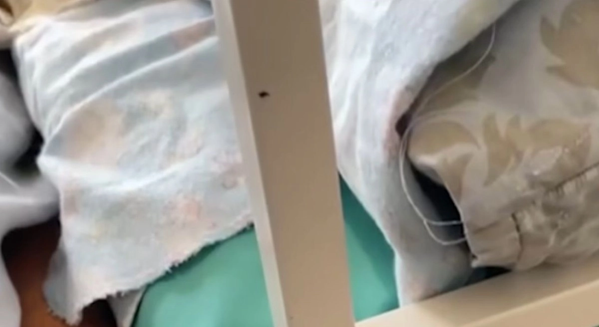 Фото: скриншот из видео