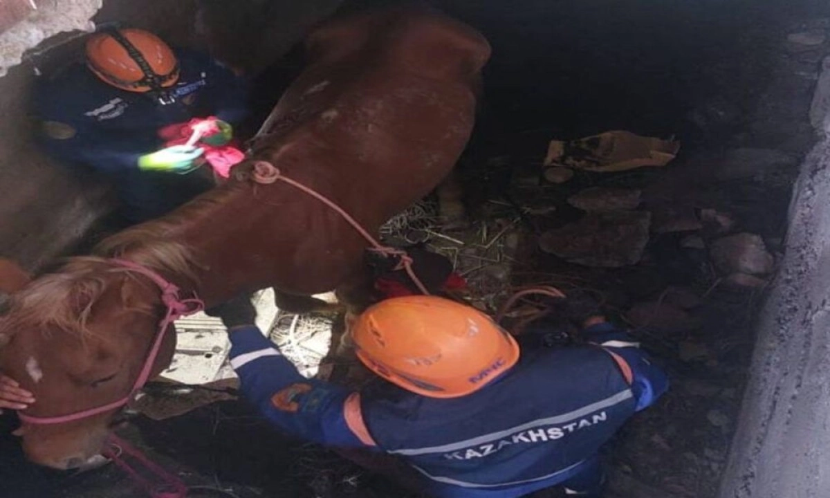 Фото: пресс-служба МЧС РК