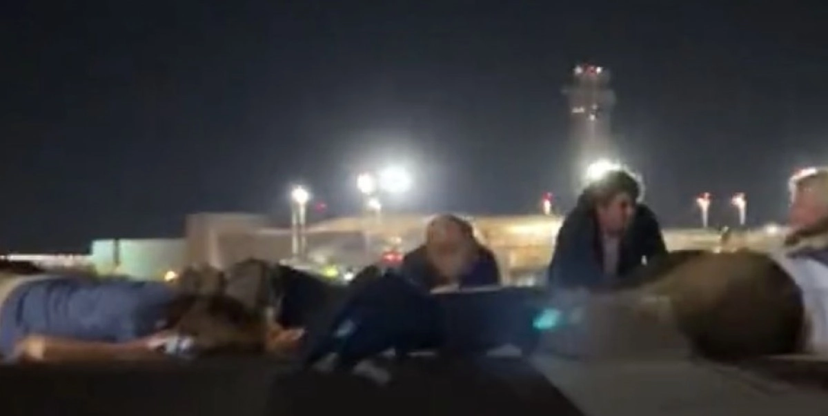 Фото: скриншот из видео