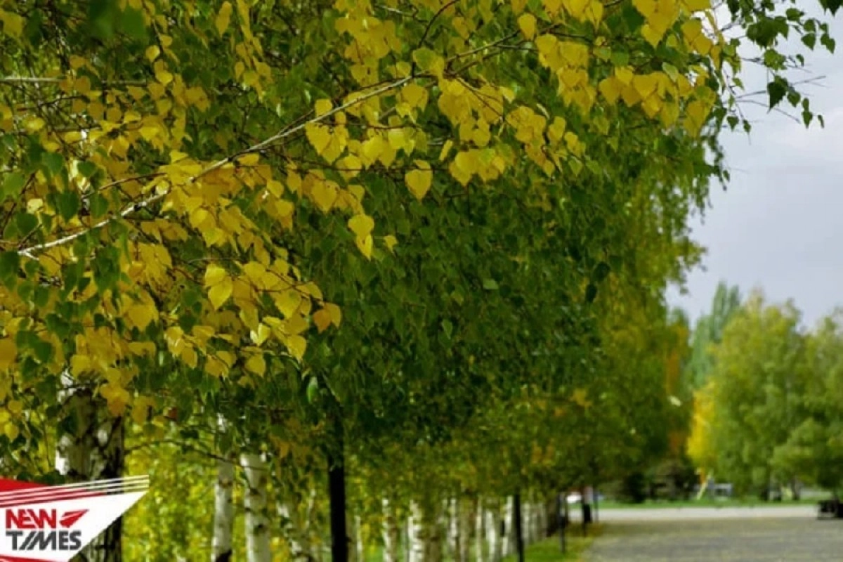 Фото: ИА «NewTimes.kz»