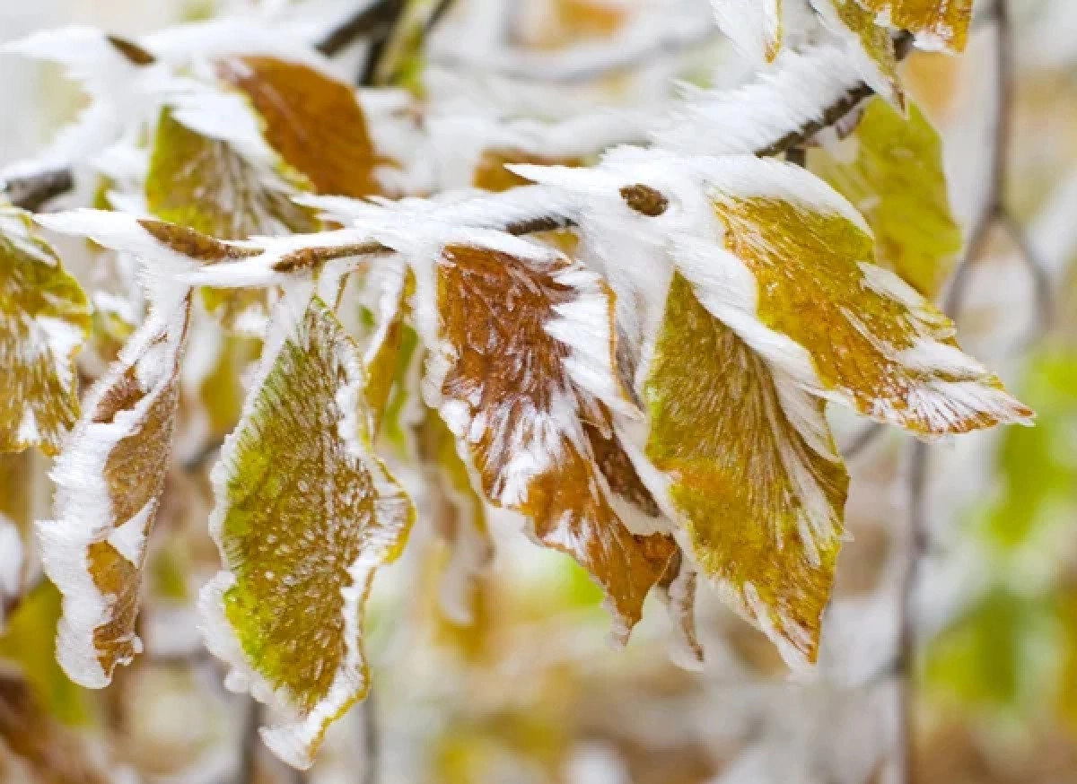 Фото: depositphotos.com