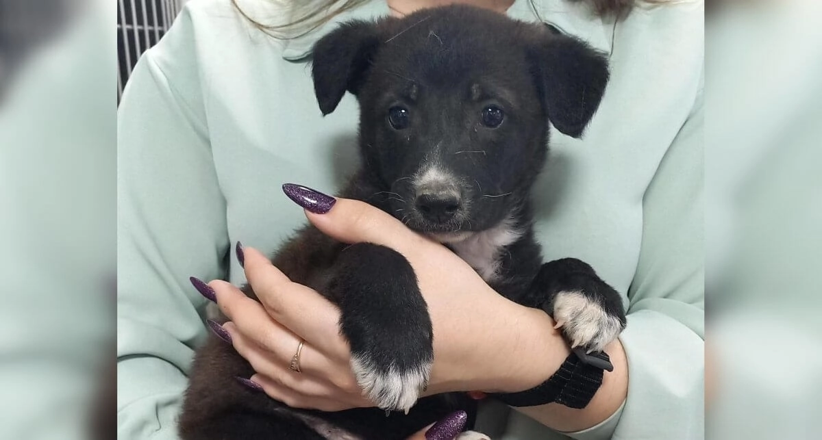 Фото: ОФ «Дворянин» и ДЧС ВКО