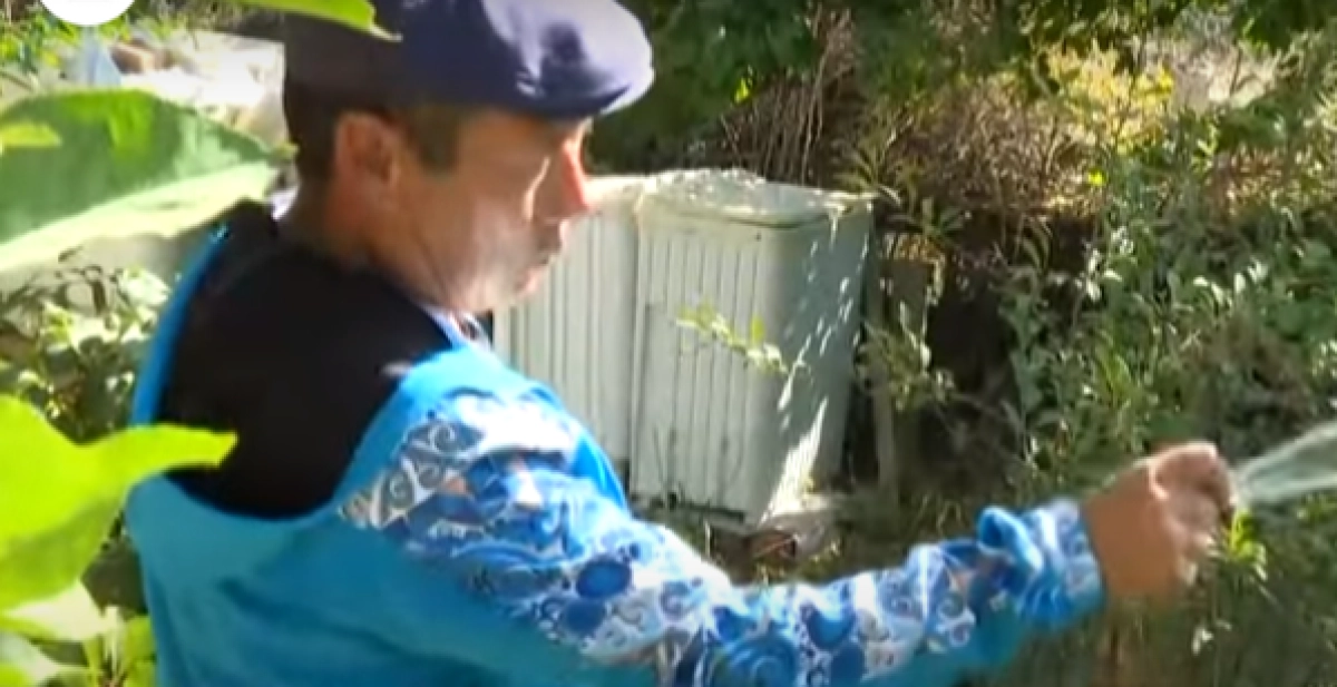 Фото: кадр из видео