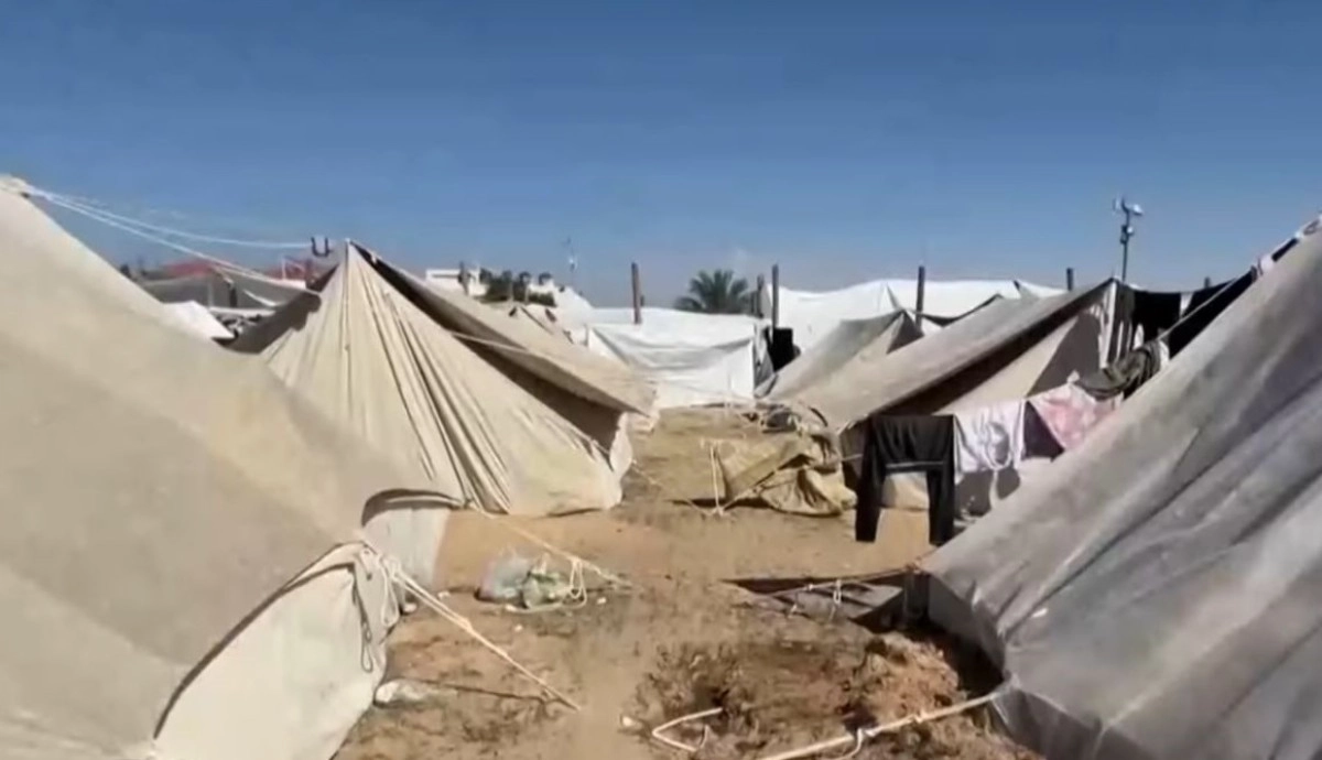 Фото: скриншот из видео