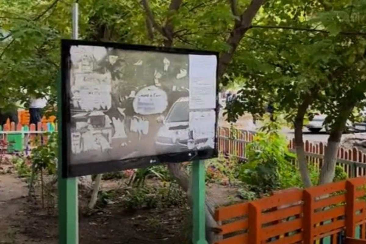 Фото: скриншот из видео