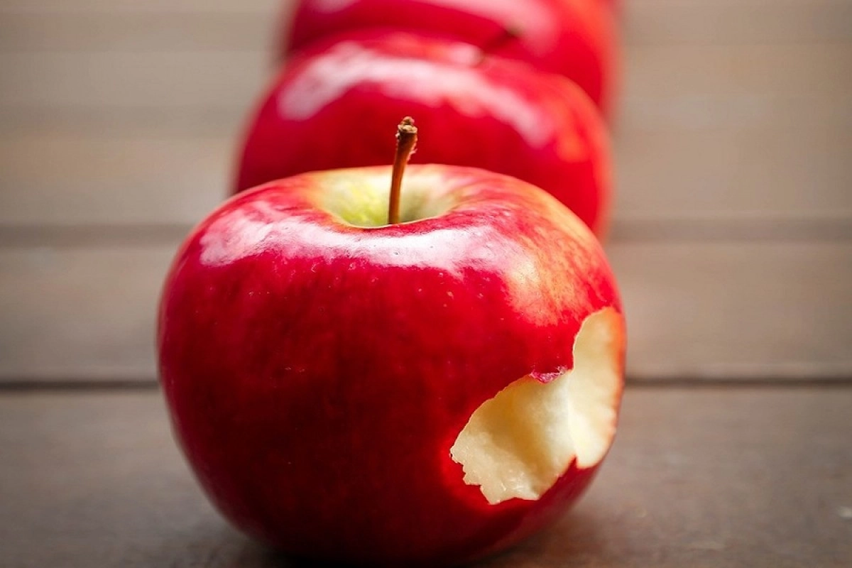 Фото: pixabay.com