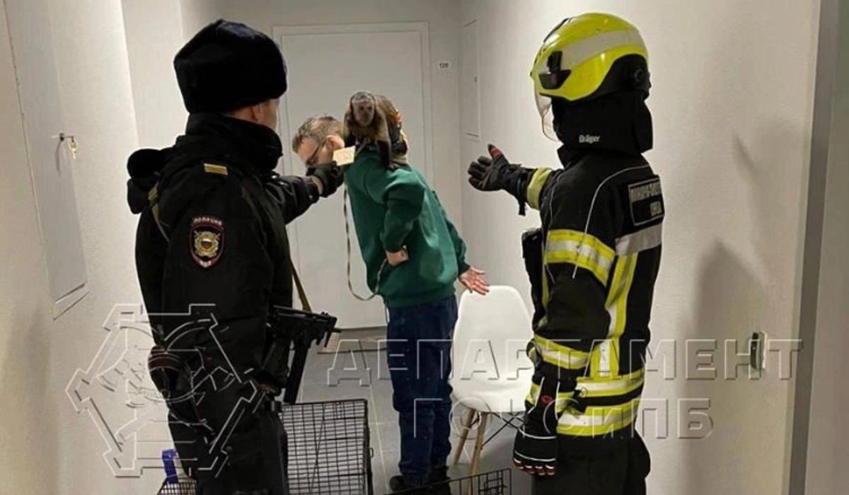 Кадр из видео