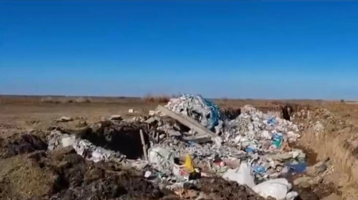 Фото: скриншот из видео