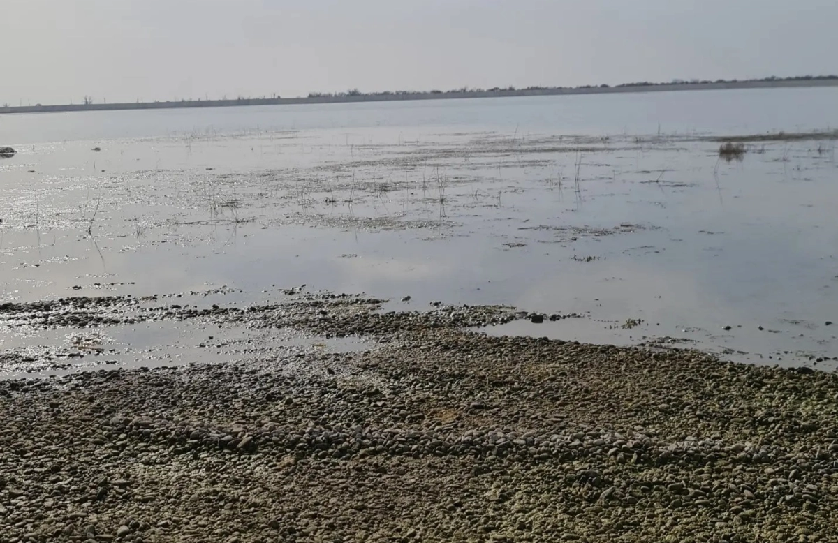 Фото: Facebook/ Дидар Смагулов