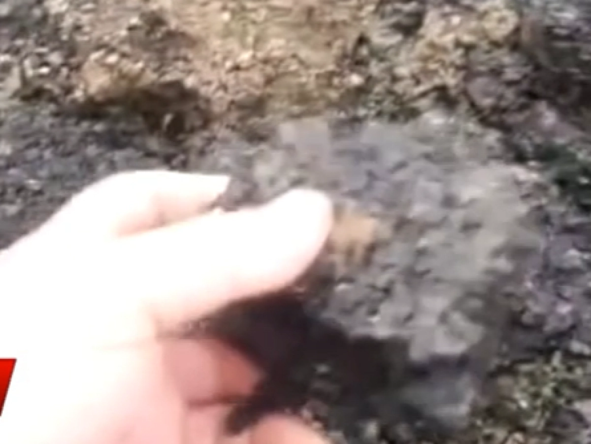 Кадр из видео