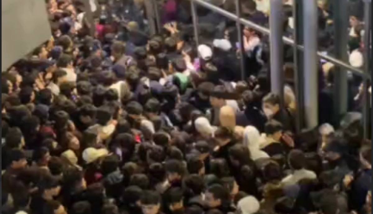 Фото: кадр из видео