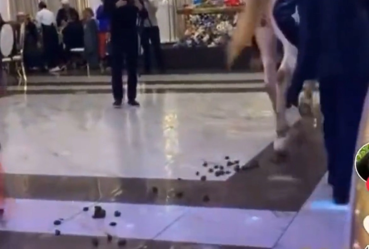 Фото: скриншот из видео