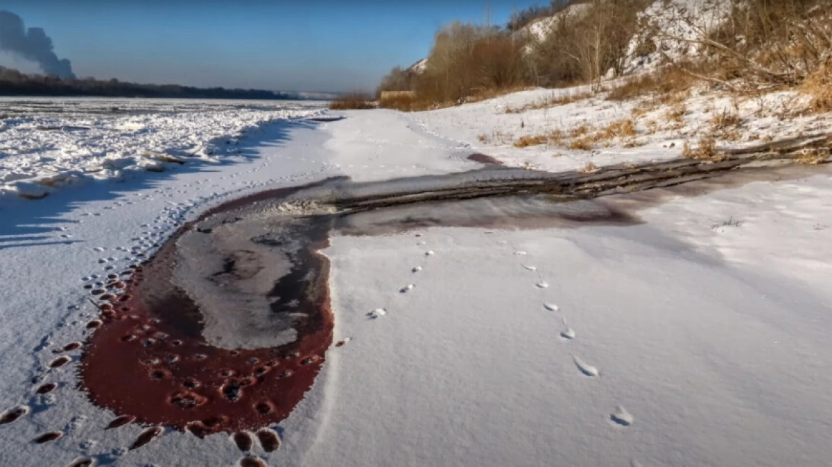 Фото: соцсети