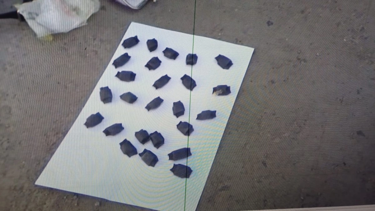 Фото: ДП Павлодарской области