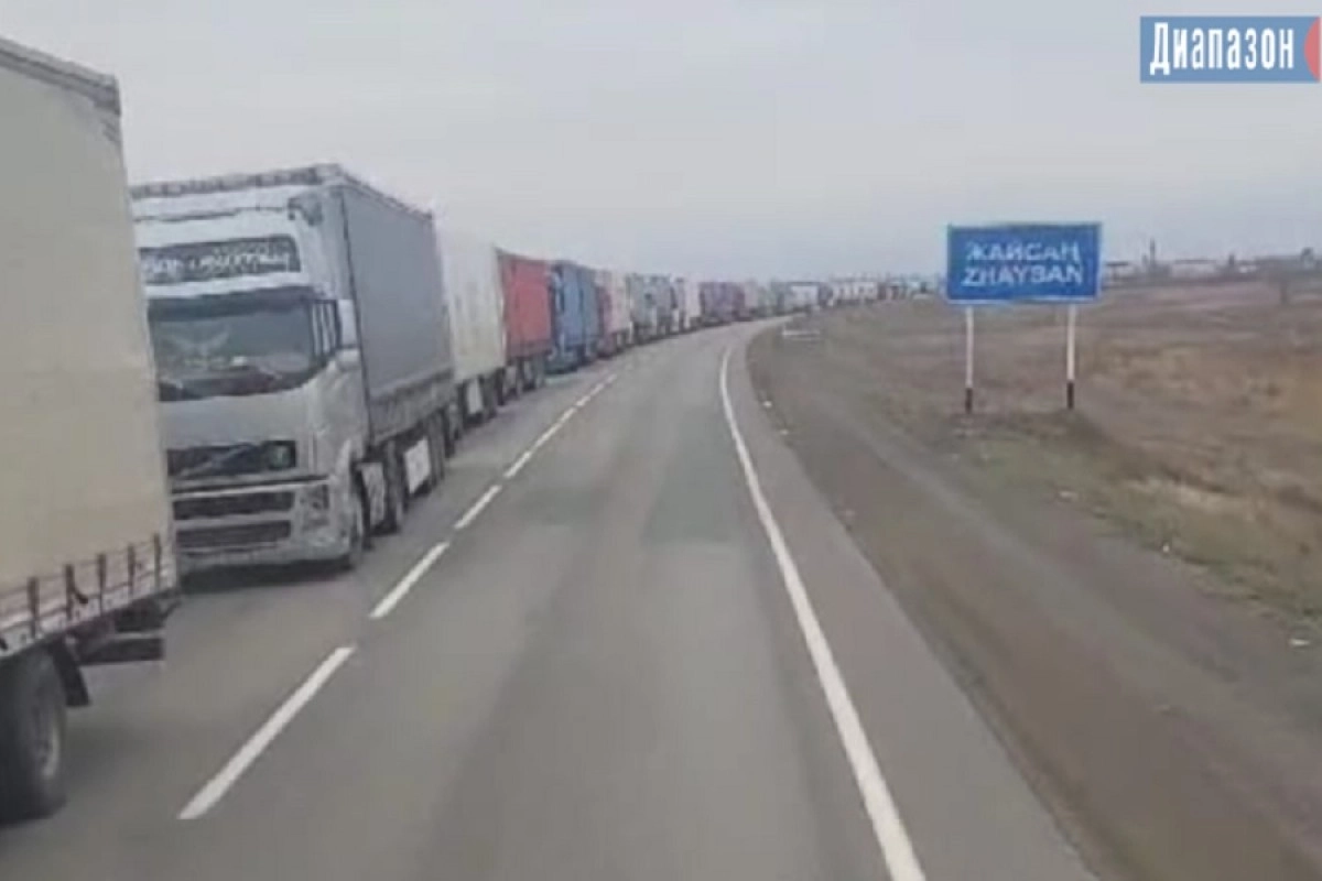 Фото: скриншот видео