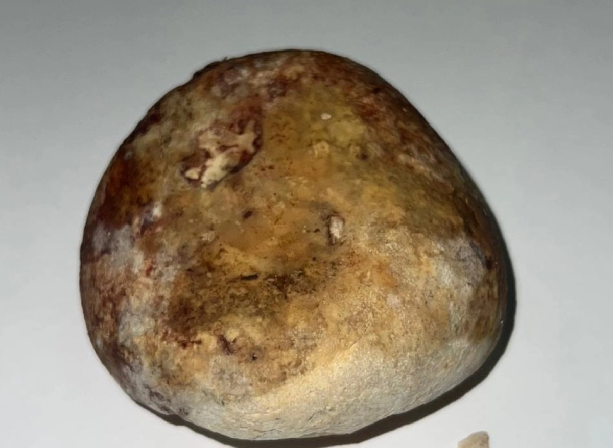 Фото: ПС горбольницы №7