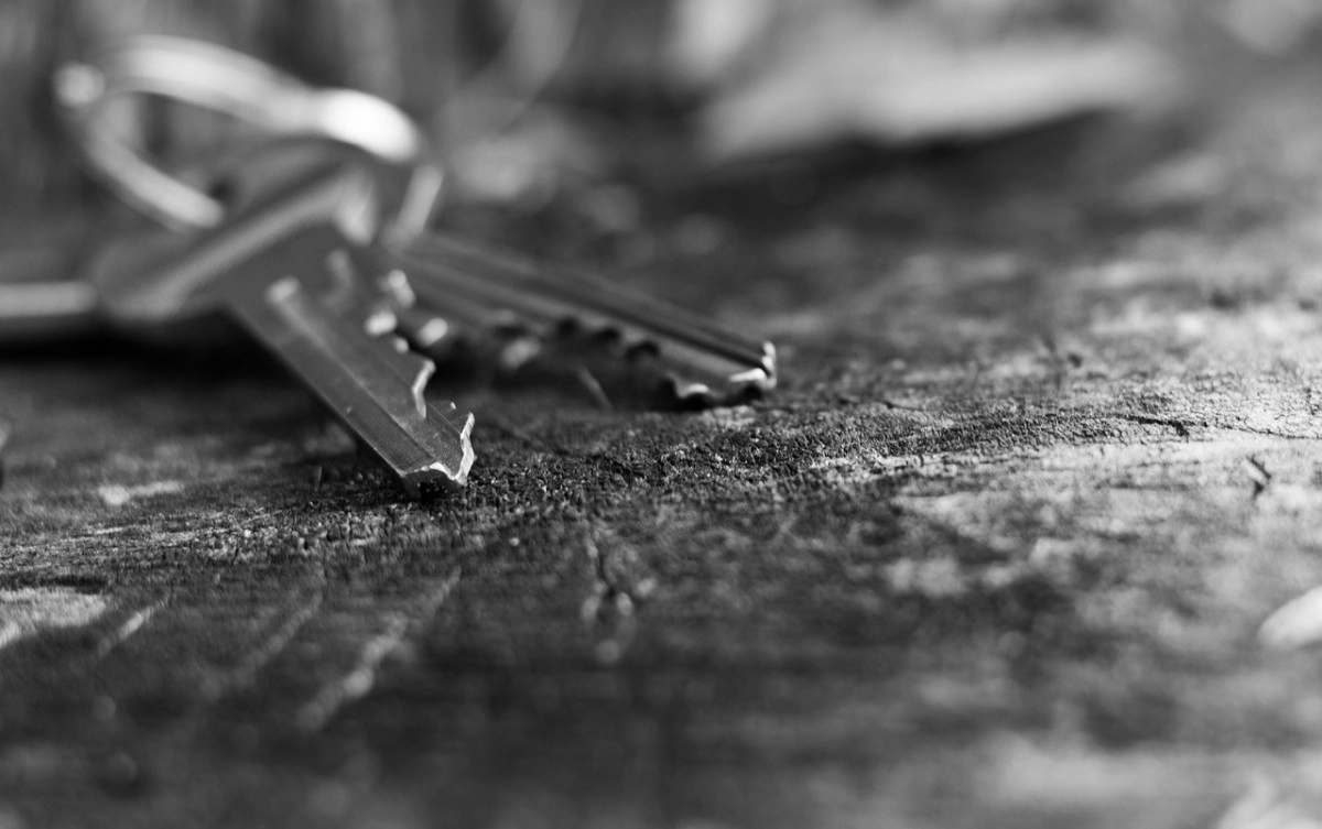 Фото: pixabay.com