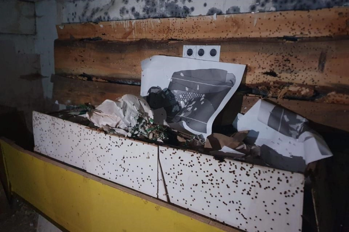 Фото: пресс-служба прокуратура Акмолинской области