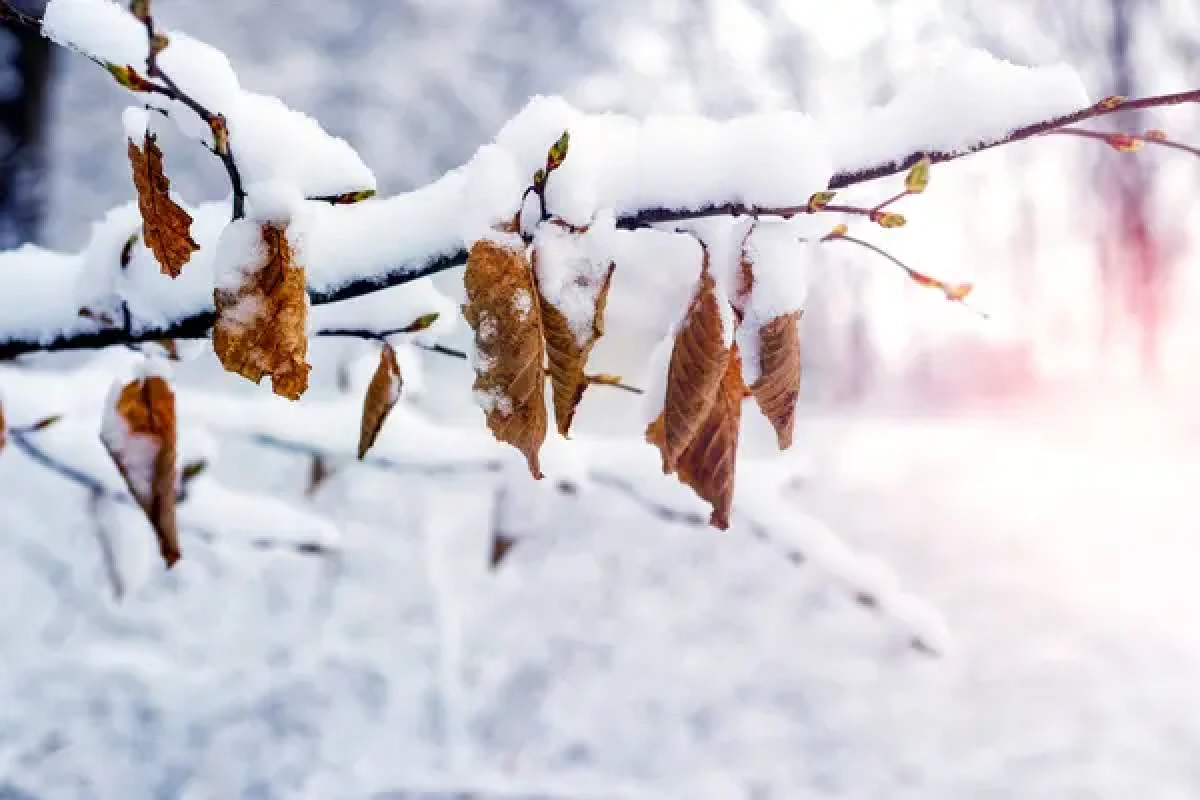 Фото: depositphotos.com