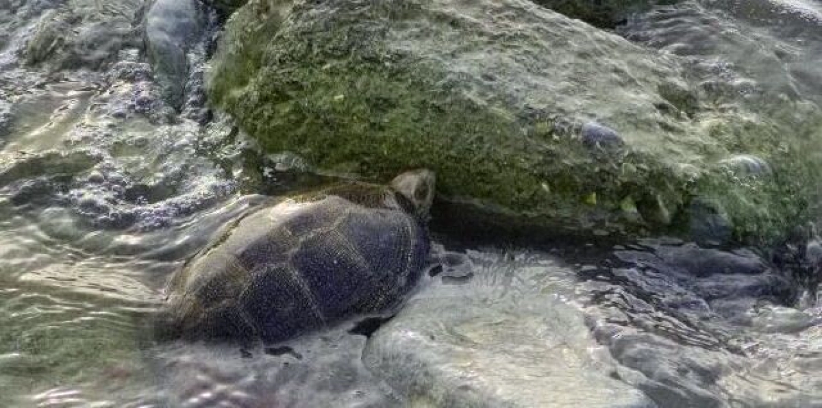 Кадр из видео