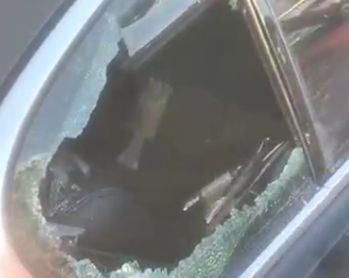 Кадр из видео/ Polisia.kz