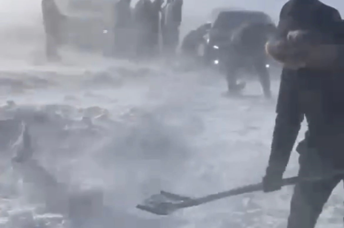 Фото: скриншот из видео