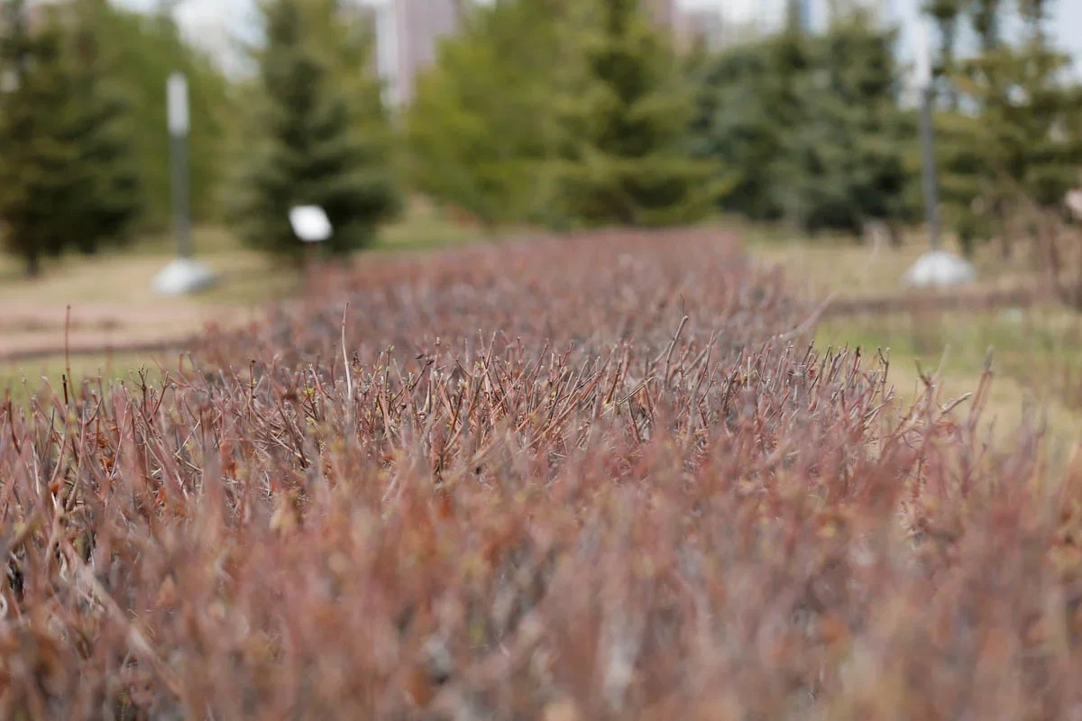 Фото: NewTimes.kz