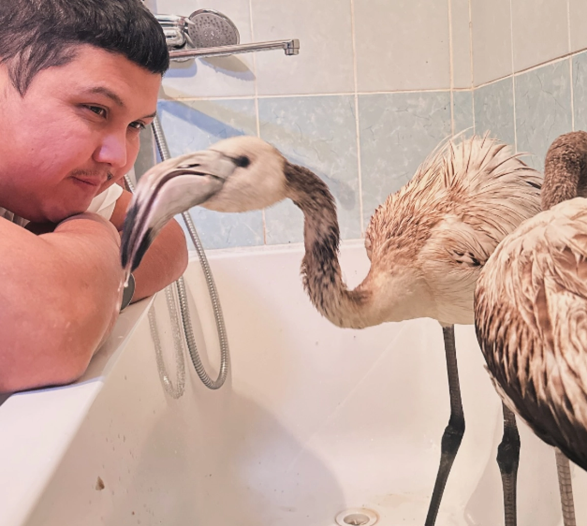 Фото: Instagram / @azamat_sarsenbayev