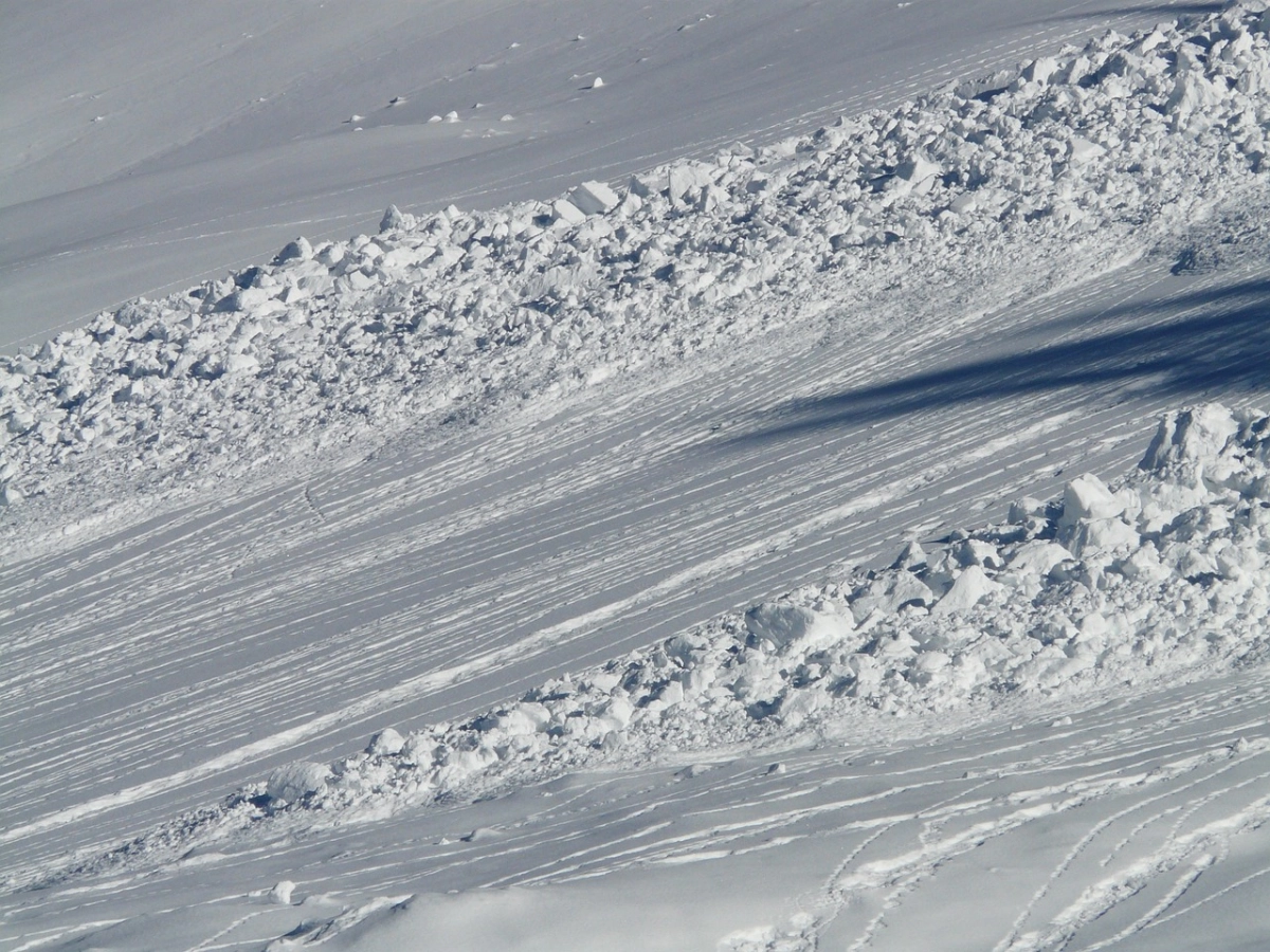 Фото: pixabay.com