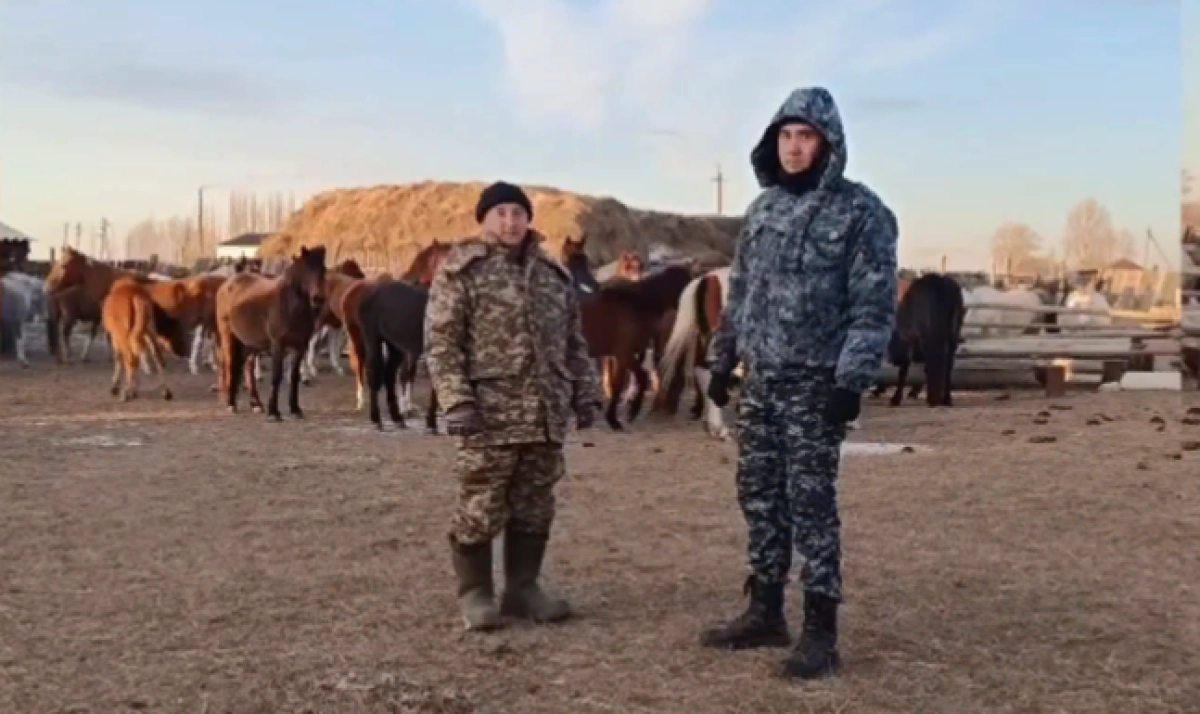 Фото: кадр из видео