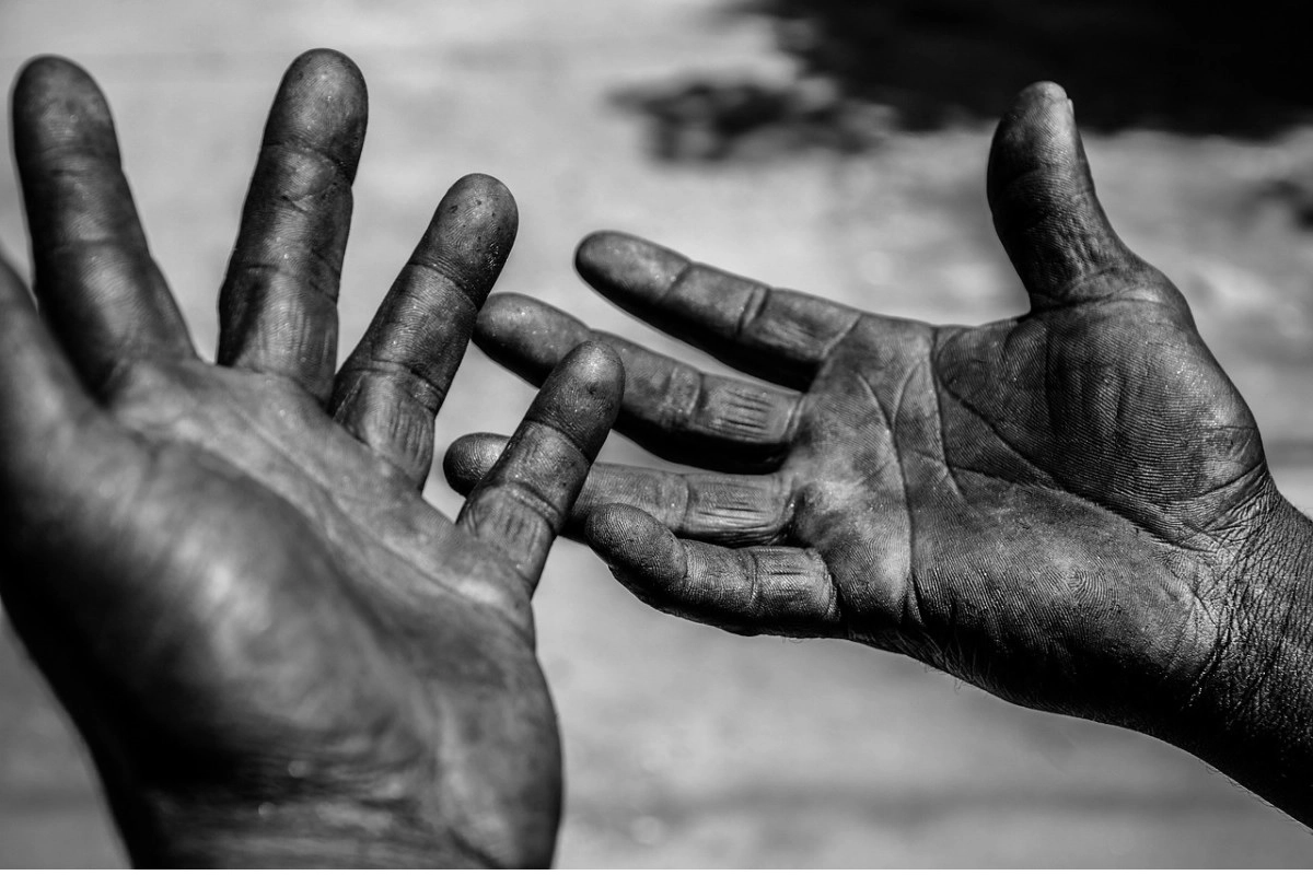 Фото: pixabay.com