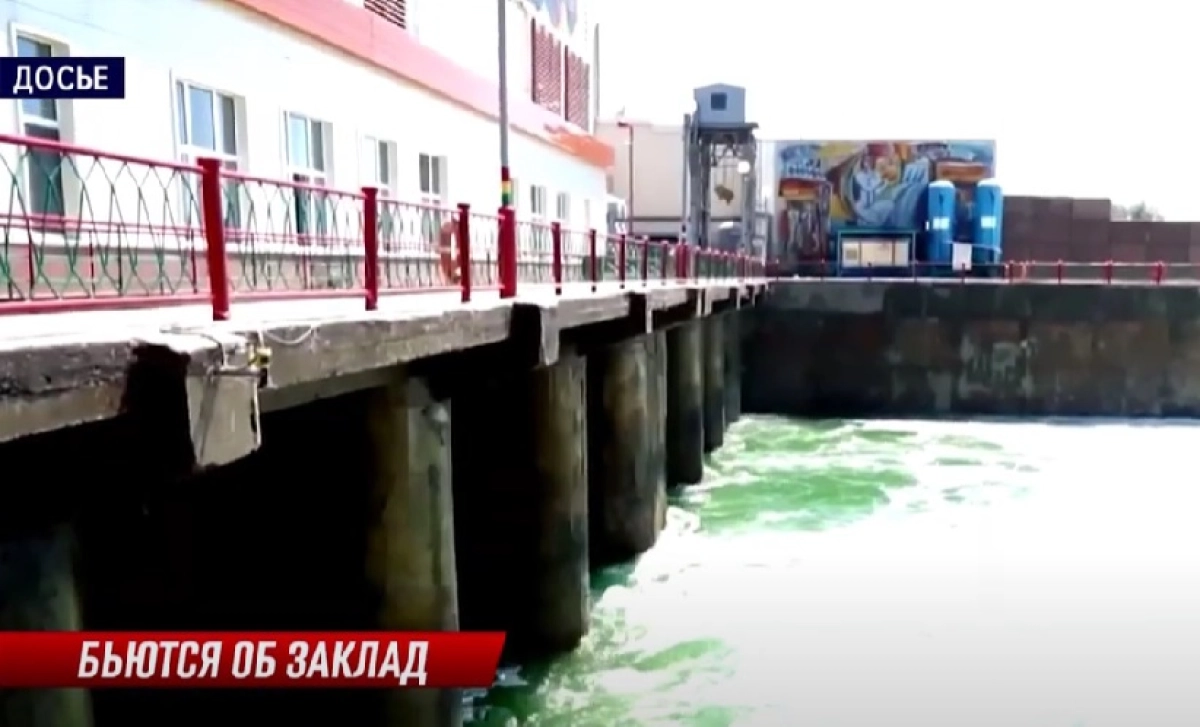 Фото: скриншот из видео